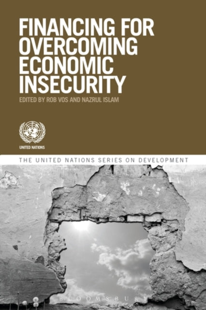 Book cover of: Financing for Overcoming Economic Insecurity