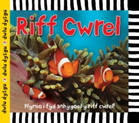Cyfres Dwlu Dysgu: Riff Cwrel 9781849672009 Sarah Powell