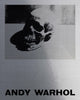 Book cover of: Tate Introductions: Andy Warhol. By: Stephanie Straine