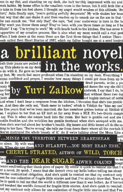 Book cover of: Brilliant Novel in the Works