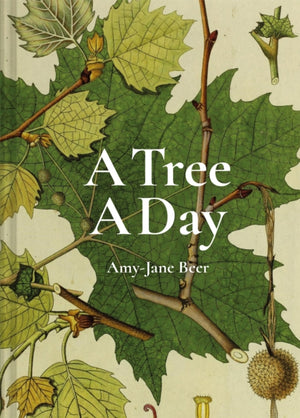 Tree A Day
