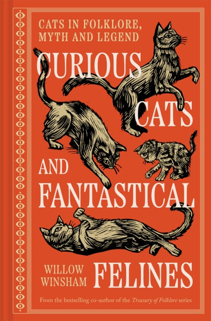 Curious Cats and Fantastical Felines