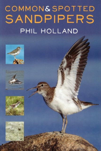 Book cover of: Common and Spotted Sandpipers. By: Phil Holland