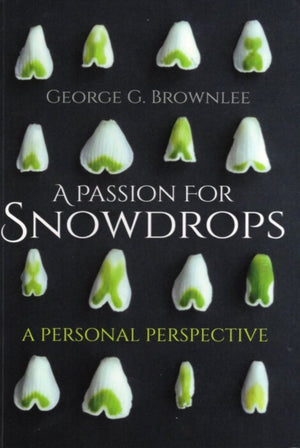 A Passion for Snowdrops