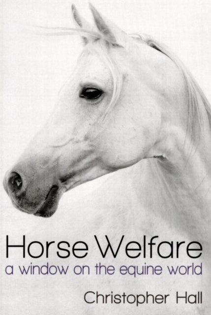 Horse Welfare