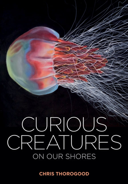 Book cover of: Curious Creatures on our Shores. By: Chris Thorogood