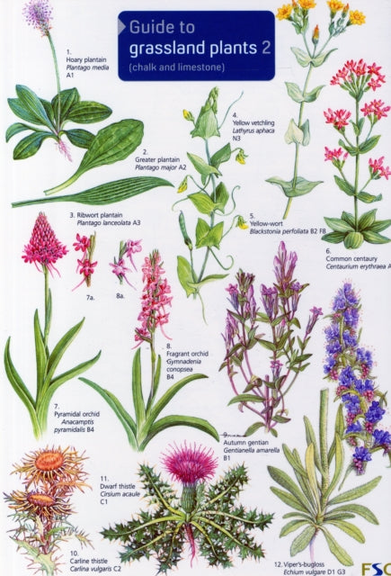 Book cover of: Guide to Grassland Plants 2. By: Anne Bebbington