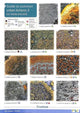 Book cover of: Guide to Common Urban Lichens