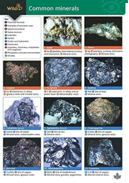 Book cover of: Guide to Common Minerals