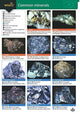 Book cover of: Guide to Common Minerals