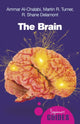 Brain