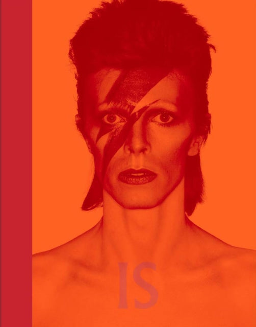 Book cover of: David Bowie Is