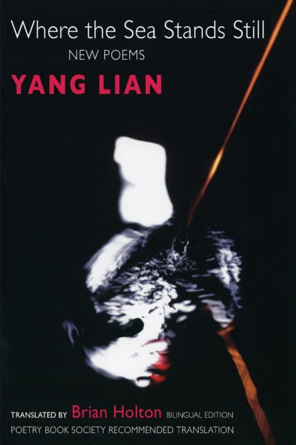 Book cover of: Where the Sea Stands Still. By: Lien Yang