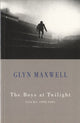 Book cover of: Boys at Twilight