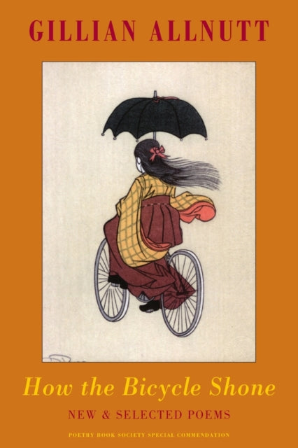 Book cover of: How the Bicycle Shone. By: Gillian Allnutt