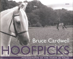 Hoofpicks