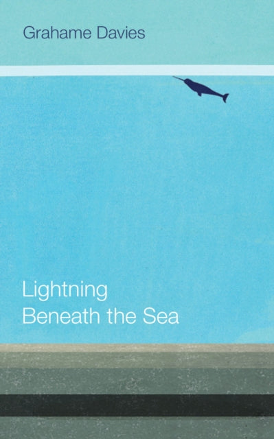 Book cover of: Lightning Beneath the Sea. By: Grahame Davies