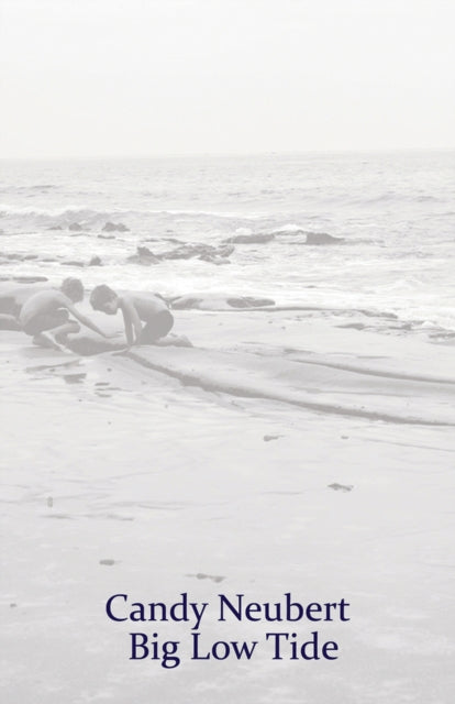Book cover of: Big Low Tide. By: Candy Neubert