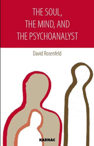 The Soul, the Mind, and the Psychoanalyst