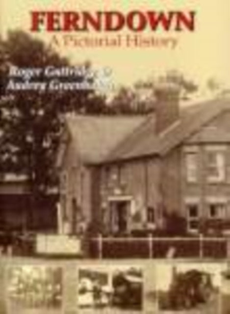 Book cover of: Ferndown