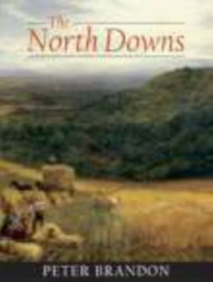 The North Downs