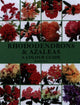 Book cover of: Rhododendrons and Azaleas - A Colour Guide. By: Kenneth Cox