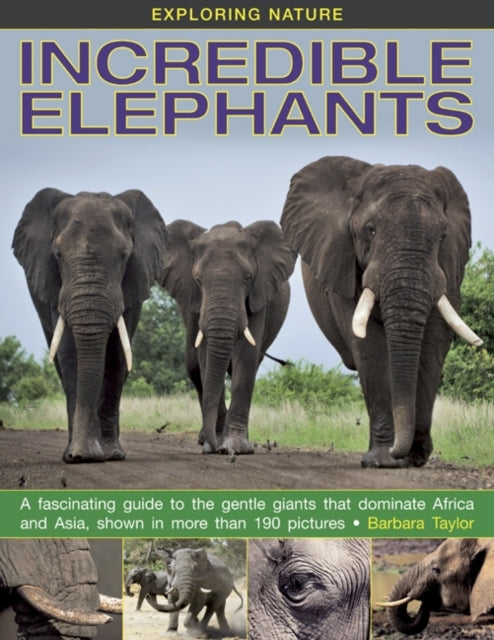 Book cover of: Exploring Nature: Incredible Elephants
