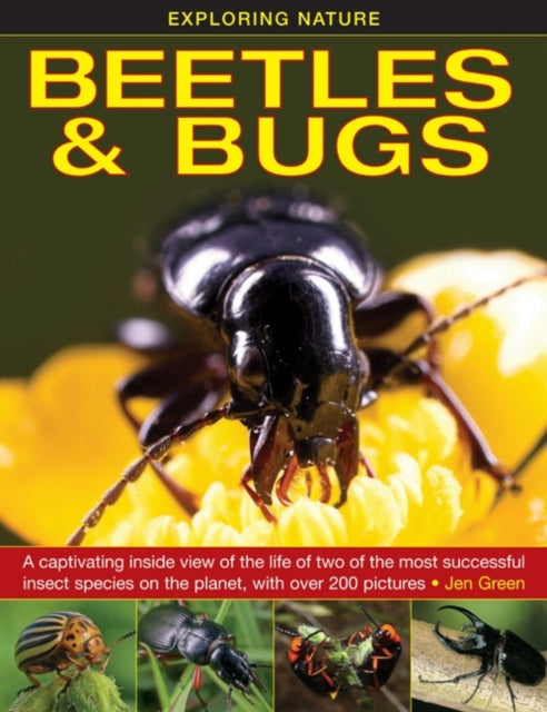 Book cover of: Exploring Nature: Beetles & Bugs. By: Jen Green