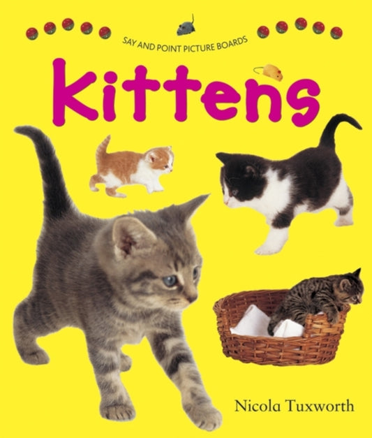Book cover of: Say and Point Picture Boards: Kittens. By: Nicole Tuxworth