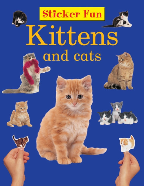 Book cover of: Sticker Fun - Kittens & Cats. By: Armadillo Press Staff