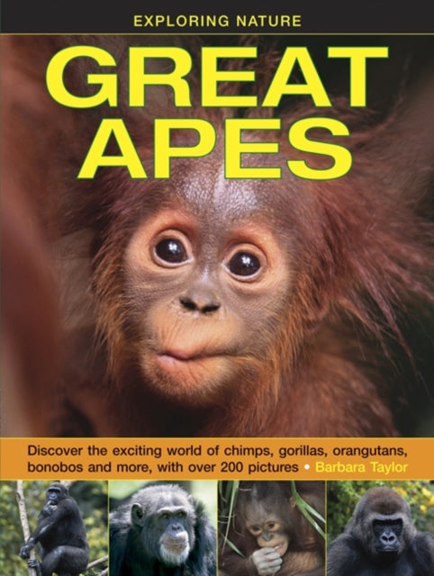 Book cover of: Exploring Nature: Great Apes. By: Barbara Taylor