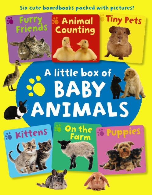 Book cover of: Little Box of Baby Animals. By: Armadillo Press Staff
