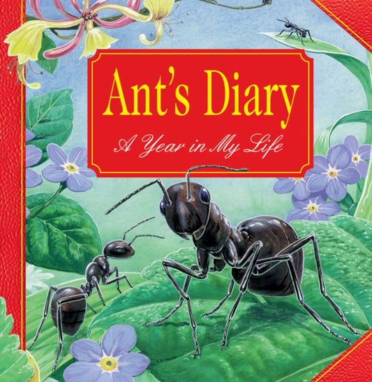 Book cover of: Ant's Diary. By: Tim Hayward