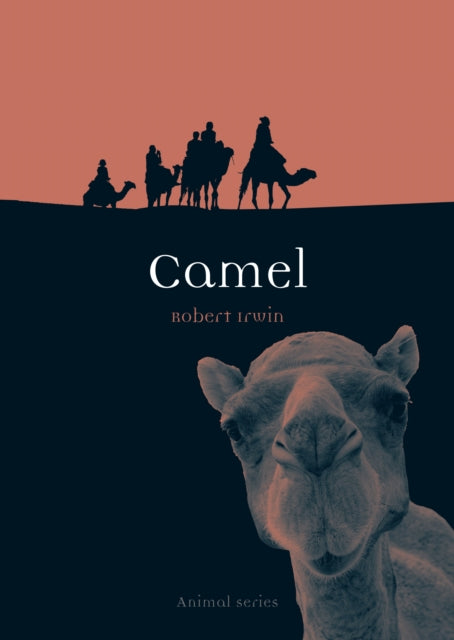Book cover of: Camel