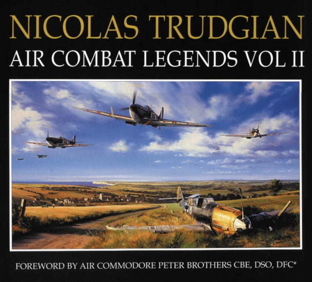 Book cover of: Air Combat Paintings. By: Robert Taylor - undifferentiated