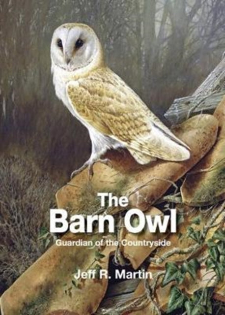 Book cover of: Barn Owl