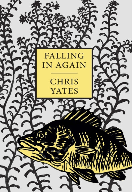 Book cover of: Falling in Again. By: Christopher Yates - undifferentiated