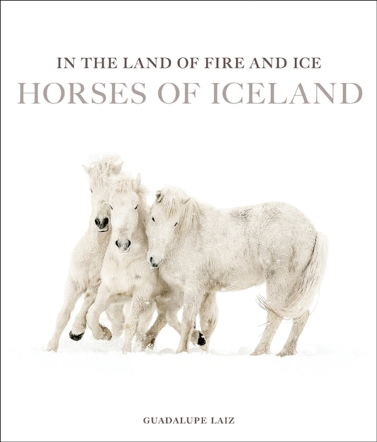 Book cover of: In the Land of Fire and Ice
