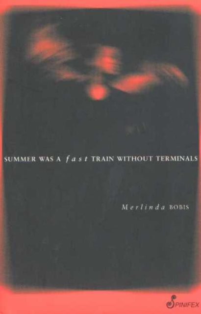 Book cover of: Summer was a Fast Train without Terminals