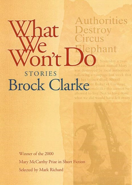 Book cover of: What We Won't Do