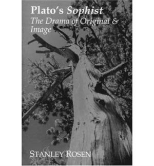 Plato`s Sophist