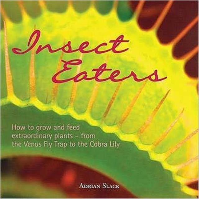 Book cover of: Insect Eaters