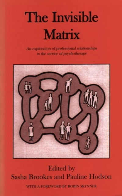 Book cover of: Invisible Matrix