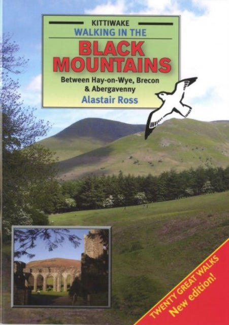Book cover of: Walking in the Black Mountains Between Hay-On-Wye, Brecon and Abergave Nny