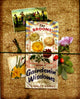 Book cover of: Broons Gairdening Wisdoms