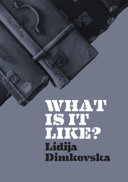 Book cover of: What Is It Like?. By: DIMKOVSKA