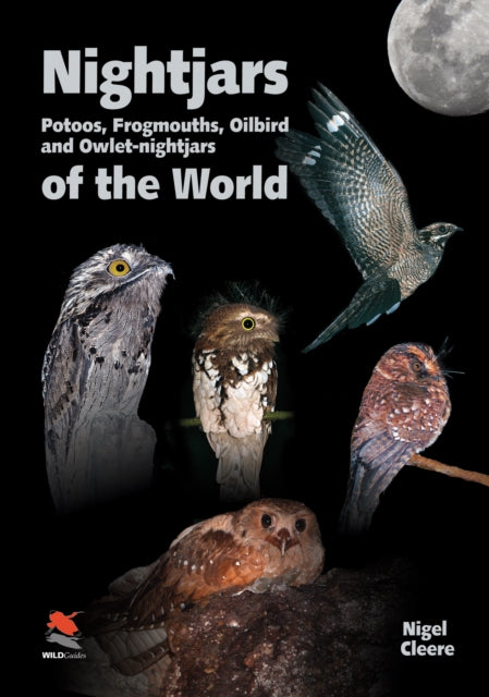 Book cover of: Nightjars, Potoos, Frogmouths, Oilbird, and Owlet–nightjars of the World. By: Nigel Cleere