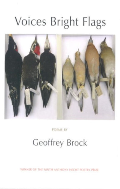 Book cover of: Voices Bright Flags. By: Geoffrey Brock
