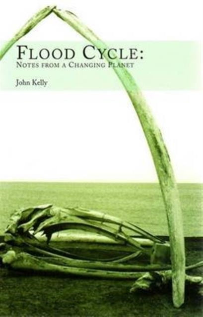 Book cover of: Flood Cycle