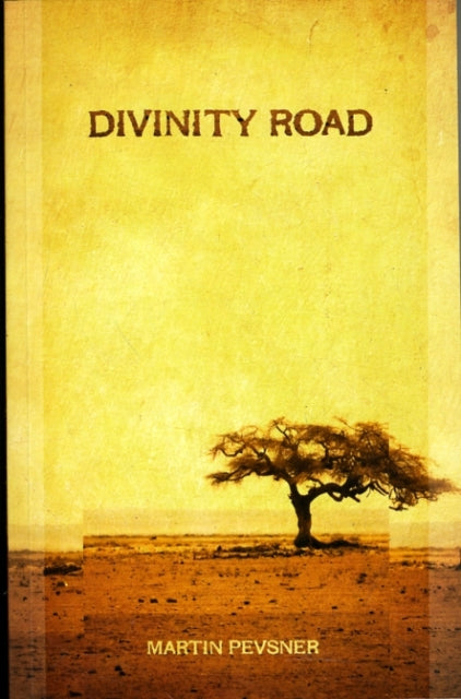 Book cover of: Divinity Road. By: Martin Pevsner